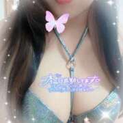 ヒメ日記 2025/12/17 12:34 投稿 【新人】りの 神奈川小田原ちゃんこ