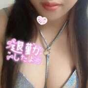 ヒメ日記 2026/01/07 08:16 投稿 【新人】りの 神奈川小田原ちゃんこ