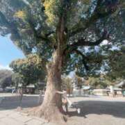 ヒメ日記 2026/02/13 15:53 投稿 Karina ワンカラット～人妻の輝き～