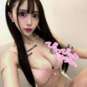 ヒメ日記 2025/11/12 14:18 投稿 もこ ルーフ福井