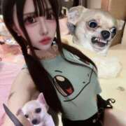 ヒメ日記 2025/11/13 20:18 投稿 もこ ルーフ福井