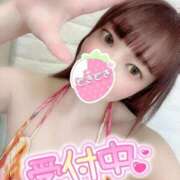 ヒメ日記 2025/11/09 13:51 投稿 るな Ravires(ラヴィリス)