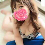 ヒメ日記 2026/03/29 11:23 投稿 すずめ 金瓶梅-きんぺいぱい-