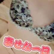 ヒメ日記 2026/03/30 01:14 投稿 すずめ 金瓶梅-きんぺいぱい-