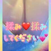 ヒメ日記 2026/04/14 10:02 投稿 すずめ 金瓶梅-きんぺいぱい-