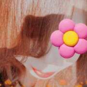 ヒメ日記 2026/04/17 13:40 投稿 すずめ 金瓶梅-きんぺいぱい-