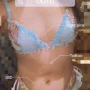 ヒメ日記 2026/04/18 10:30 投稿 すずめ 金瓶梅-きんぺいぱい-