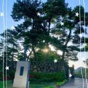 ヒメ日記 2026/05/18 07:26 投稿 すずめ 金瓶梅-きんぺいぱい-