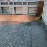 ヒメ日記 2026/06/03 07:00 投稿 すずめ 金瓶梅-きんぺいぱい-