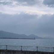 ヒメ日記 2026/06/06 06:47 投稿 すずめ 金瓶梅-きんぺいぱい-