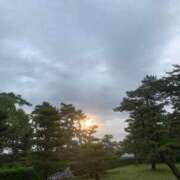 ヒメ日記 2026/08/29 07:44 投稿 すずめ 金瓶梅-きんぺいぱい-
