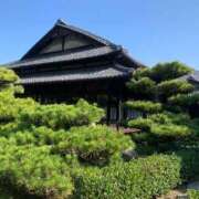 ヒメ日記 2026/09/02 08:50 投稿 すずめ 金瓶梅-きんぺいぱい-