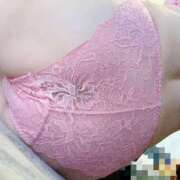 ヒメ日記 2026/10/08 15:25 投稿 すずめ 金瓶梅-きんぺいぱい-