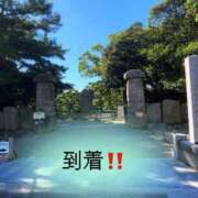 ヒメ日記 2026/10/11 10:33 投稿 すずめ 金瓶梅-きんぺいぱい-