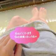 ヒメ日記 2025/11/20 08:45 投稿 みなみ 西川口こんにちわいふ（シンデレラグループ）