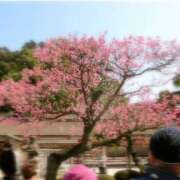 ヒメ日記 2026/03/03 08:46 投稿 みなみ 西川口こんにちわいふ（シンデレラグループ）