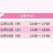 ヒメ日記 2025/12/11 14:00 投稿 れい＠元ここ スピードエコ難波店