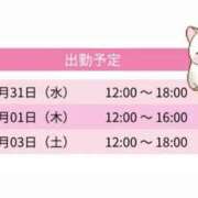 ヒメ日記 2025/12/31 10:22 投稿 れい＠元ここ スピードエコ難波店