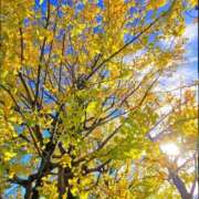 ヒメ日記 2025/11/15 08:24 投稿 つき CLUB DEEP