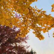 ヒメ日記 2025/12/01 07:14 投稿 つき CLUB DEEP