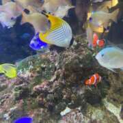 ヒメ日記 2026/02/02 16:34 投稿 つき CLUB DEEP