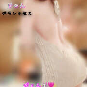 ヒメ日記 2025/12/14 14:40 投稿 松嶋 じゅん 千葉Grand Mrs.