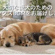 ヒメ日記 2026/10/03 07:45 投稿 松嶋 じゅん 千葉Grand Mrs.