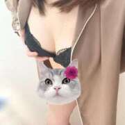 ヒメ日記 2026/03/14 16:03 投稿 椎名 モアグループ春日部人妻城