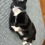 ヒメ日記 2025/11/27 15:24 投稿 あみ SOAPLAND LOVE FACTORY