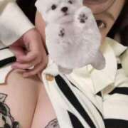 ヒメ日記 2025/12/28 14:38 投稿 優木てぃな DEEPS成田店