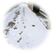 ヒメ日記 2026/02/08 07:28 投稿 堂島ゆき セクシーキャット 神田店