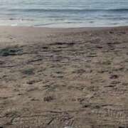 ヒメ日記 2025/12/02 22:24 投稿 あお ごほうびSPA横浜店