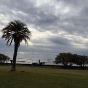 ヒメ日記 2025/11/12 19:56 投稿 青山 人妻風俗チャンネル