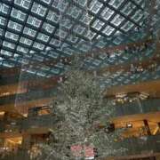 青山 本日も 人妻風俗チャンネル