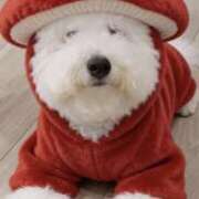 ヒメ日記 2025/12/29 19:18 投稿 青山 人妻風俗チャンネル