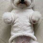 ヒメ日記 2025/12/31 09:33 投稿 青山 人妻風俗チャンネル