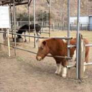 ヒメ日記 2026/01/21 20:20 投稿 青山 人妻風俗チャンネル