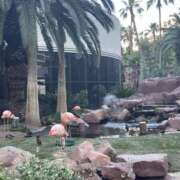 ヒメ日記 2026/02/02 19:37 投稿 青山 人妻風俗チャンネル