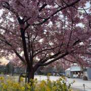 ヒメ日記 2026/03/06 20:36 投稿 青山 人妻風俗チャンネル