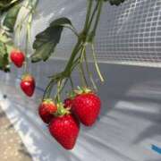 ヒメ日記 2026/03/09 12:40 投稿 青山 人妻風俗チャンネル