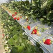 ヒメ日記 2026/03/21 22:16 投稿 青山 人妻風俗チャンネル