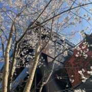 青山 おはようございます 人妻風俗チャンネル