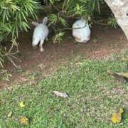 ヒメ日記 2026/04/04 20:10 投稿 青山 人妻風俗チャンネル