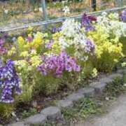 青山 ありがとう 人妻風俗チャンネル