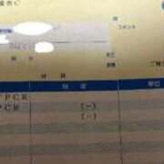 美遊(みゆう) 定期検診🩺 宮崎AROMA OLIVE