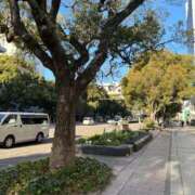 ヒメ日記 2026/03/13 08:23 投稿 美遊(みゆう) 宮崎AROMA OLIVE