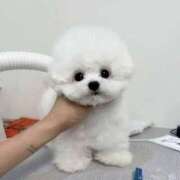 ヒメ日記 2026/03/25 17:13 投稿 美遊(みゆう) 宮崎AROMA OLIVE