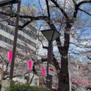 ヒメ日記 2026/04/04 14:03 投稿 美遊(みゆう) 宮崎AROMA OLIVE