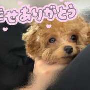 ヒメ日記 2026/07/08 03:13 投稿 美遊(みゆう) 宮崎AROMA OLIVE