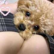 ヒメ日記 2026/10/03 22:23 投稿 美遊(みゆう) 宮崎AROMA OLIVE